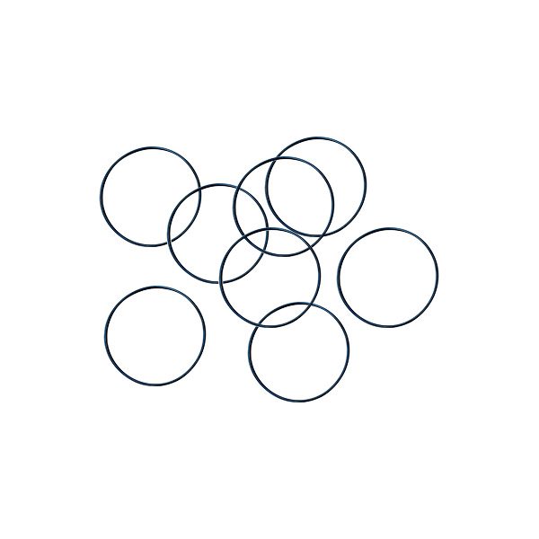 Seal ring 1