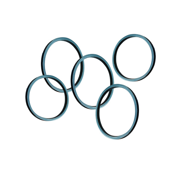 Seal ring 2